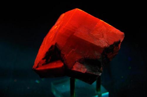 Calcita - Fluorescente
Las Cruces, Dona Ana Co, New Mexico, EEUU
52 x 57 x 54 mm
Calcita es roja. (Autor: Juan María Pérez)