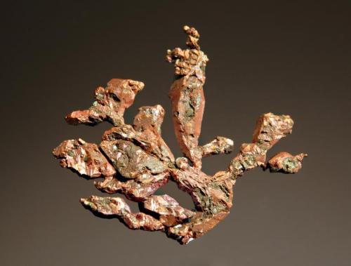 Copper
Colonial Copper Mine, Bennet Brook, Cape D’Or, Cumberland Co., Nova Scotia, Canada
2.3 x 2.7 cm. (Author: crosstimber)