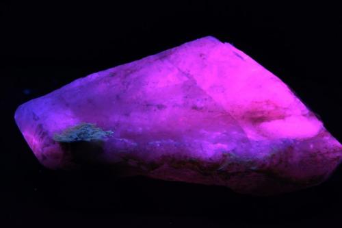 Calcita - Fluorescente.
Terlingua District, Brewster Co., Texas, USA
89 x54 x 36 mm
Luz UV onda larga. (Autor: Daniel C.M.)