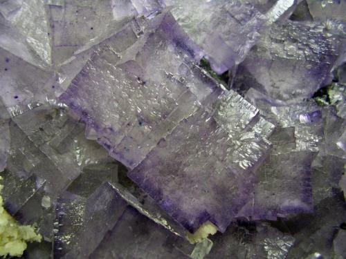 Fluorita-Barita
Elmwood Mine, Smith Co, Tennessee, USA

Detalle (Autor: geoalfon)