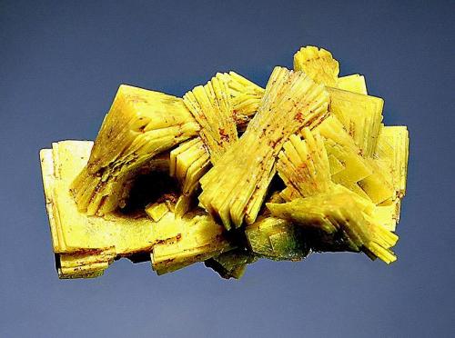 Meta autunite
São Pedro Claim, Malacacheta, Minas Gerais, Brazil
1.6 x 3.0 cm.
Books of lemon yellow, bladed crystals to forming an intergrown cluster.  Obtained from Carlos Barbosa in 1993. (Author: crosstimber)