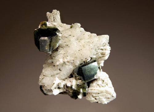 Fluorapaptite
Sapo Mine, Goiabeira, Minas Gerais, Brazil
4.7 x 4.8 cm.
Lustrous, green-black, hexagonal crystals with modified prism edges and pinacoid terminations on a white albite matrix. (Author: crosstimber)