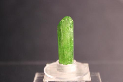 Diopside
800 foot Level, Karo Mine, Merelani Hills, Arusha, Tanzania
3.0 x 0.9 cm (Author: Don Lum)