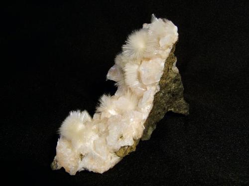 Mesolite + Chabazite
Moonen Bay, Isle of Skye, Scotland, UK
70 mm x 55 mm high x 25 mm

Mesolite in attractive radiating clusters to 13mm across on pink twinned chabazite crystals. From the south end of Moonen Bay.
Self-collected 1997. (Author: Mike Wood)