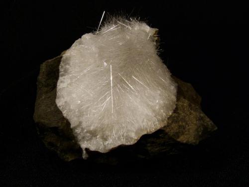 Mesolite
Talisker Bay, Isle of Skye, Scotland, UK
6 cm x 5 cm x 4 cm

Mesolite crystals to 13mm in analcime-lined gas cavity in basalt rock.
Self-collected 1988. (Author: Mike Wood)