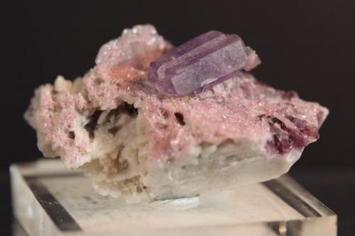 Apatite, Tourmaline, Lepidolite, Albite
Pederneira Mine, Minas Gerais, Brazil
3.8 x 2.7 cm
ex- Korpi (Author: Don Lum)