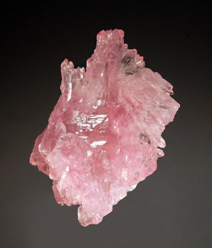 Quartz var. rose quartz
Pitorra Claim, Lananjeiras, Galiléia, Minas Gerais, Brazil
3.5 x 5.7 cm
A floater cluster of intergrown rose quartz crystals obtained from M. Phantom Minerals 21 years ago. (Author: crosstimber)