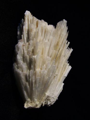 Mesolite or Natrolite
Sgurr nam Boc, Isle of Skye, Scotland, UK
9 cm high x 6 cm x 4 cm
Large ’mesolite’ crystals collected from wave-cut platform at south end of beach at Sgurr nam Boc. I have a recollection that this material was tested, and it may be natrolite - but I can’t remember now !
 It is certainly the largest of its type I have seen from Skye. Self-collected 2003. (Author: Mike Wood)