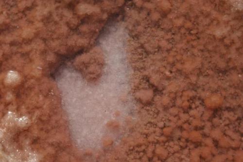 Gypsum with white halite crystals.
Bar Al Hickman, Oman. (Author: Ru Smith)