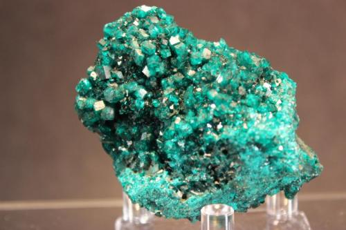 Dioptase
Karagandy Province, Kazakhstan
6.5 x 5.0 x 3.2 cm (Author: Don Lum)