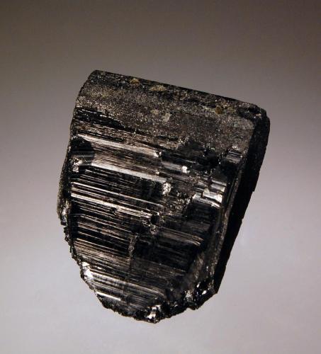 Tantalite-Fe
Fazenda Pomorolli, Linopolis, Minas Gerais, Brazil
2.8 x 3.3  cm.
A single lustrous metallic black tantalite crystal collected in June 2010. (Author: crosstimber)