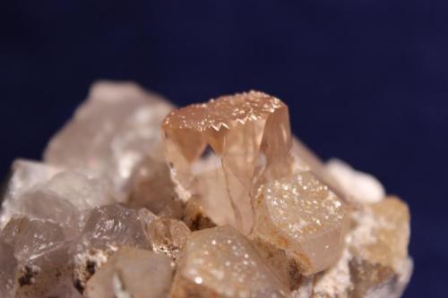 Topaz, Quartz, Mica, Albite
Yuno (Yunau, Yunas), Shigar Valley, Skardu District, Baltistan, Northern Areas, Pakistan
7.4 x 6.2 cm (Author: Don Lum)