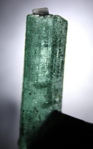 Beryl (var Emerald), Mica, Calcite
Rist Mine, (North America Emerald Mine), Hiddenite, Alexander County, North Carolina, USA
5.5 x 2.8 cm (Author: Don Lum)