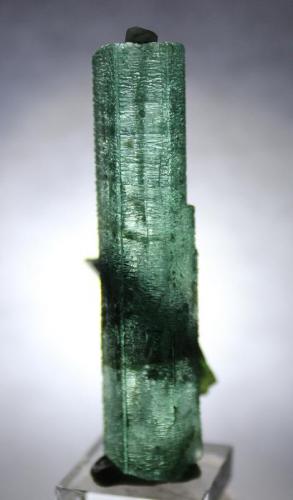 Beryl (var Emerald), Mica, Calcite
Rist Mine, (North America Emerald Mine), Hiddenite, Alexander County, North Carolina, USA
5.5 x 2.8 cm (Author: Don Lum)