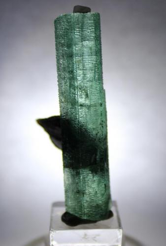 Beryl (var Emerald), Mica, Calcite
Rist Mine, (North America Emerald Mine), Hiddenite, Alexander County, North Carolina, USA
5.5 x 2.8 cm (Author: Don Lum)