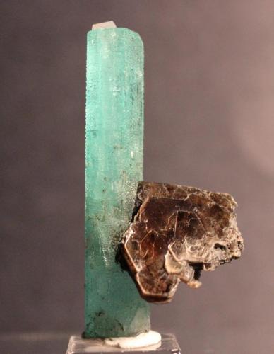 Beryl (var Emerald), Mica, Calcite
Rist Mine, (North America Emerald Mine), Hiddenite, Alexander County, North Carolina, USA
5.5 x 2.8 cm (Author: Don Lum)