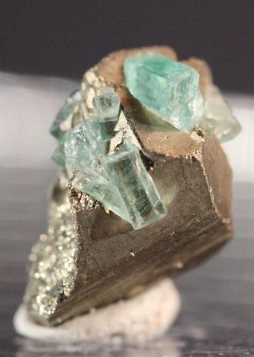 Beryl (var Emerald)
Muzo Mine, Boyaca, Colombia
13 x 12 mm (Author: Don Lum)