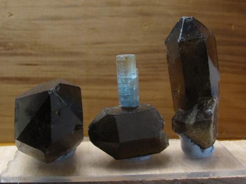 Beryl (var aquamarine) and smoky quartz
Isle of Arran, Scotland, UK
Aquamarine crystal 17mm x 6mm x 4mm
These crystals all came from the same mud-filled miarolitic cavity, which was not quite big enough to get my hand in, and over 30cm deep. The smoky quartz terminations were all damaged. The smoky on the right is 46mm tall. Self-collected. (Author: Mike Wood)