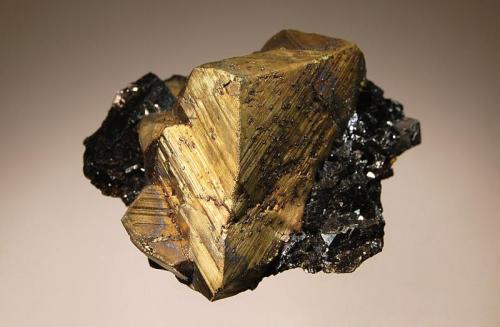 Chalcopyrite
Julcani Mine, Julcani District, Angaraes Province, Huancavelica Department, Peru
5.5 x 5.7 cm.
Well-formed brassy yellow sphenoidal crystal measuring 4.7 cm across on lustrous black sphalerite. (Author: crosstimber)