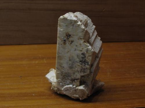 Microcline
Isle of Arran, Scotland, UK
50mm x 21mm x 18mm crystal
Microcline feldspar crystal free-standing on a small piece of matrix. Self-collected. (Author: Mike Wood)