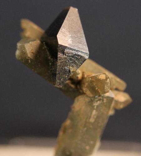 Anatase, Quartz, Chlorite
Kharan District, Baluchistan, Pakistan
27 x 15 mm (Author: Don Lum)