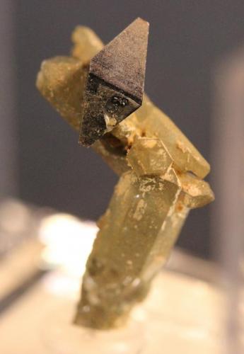 Anatase, Quartz, Chlorite
Kharan District, Baluchistan, Pakistan
27 x 15 mm (Author: Don Lum)