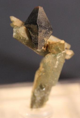 Anatase, Quartz, Chlorite
Kharan District, Baluchistan, Pakistan
27 x 15 mm (Author: Don Lum)