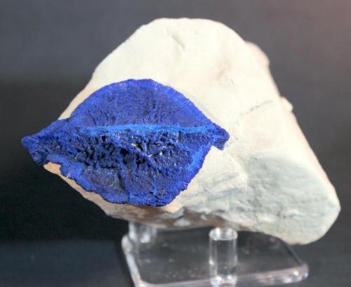 Azurite
Malbunka Copper Mine, Areyonga, Northern Territory, Australia
9.5 x 8.0 cm
Azurite Lips (Author: Don Lum)