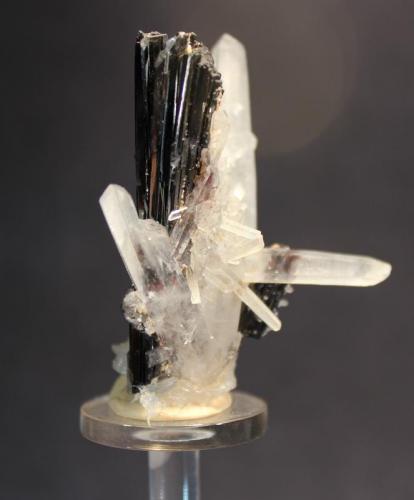 Hübnerite, Quartz
Pasto Bueno District, Pallasca Province, Ancash Department, Peru
5.2 x 4 cm (Author: Don Lum)