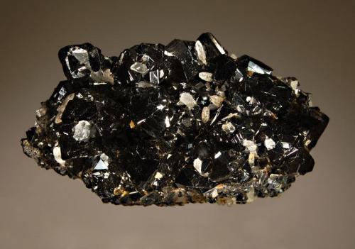 Cassiterite
Viloco Mine, Loayza Province, La Paz Dept., Bolivia
4.5 x 8.2 cm.
Lustrous, dark brown, twinned crystals associated with small quartz crystals. (Author: crosstimber)