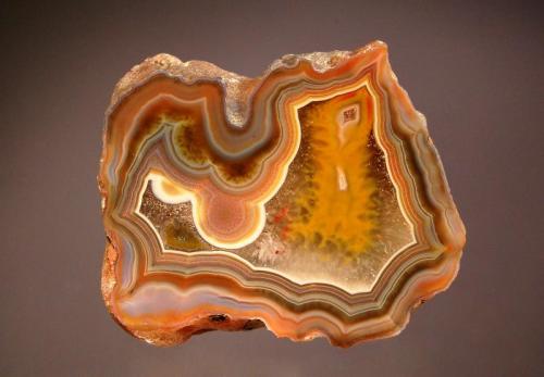 Chalcedony var. agate
Chubut Province, Argentina
6.5 x 7.2 cm.
Colorful, polished section of "condor" agate with strong fortification bands on the outer edge and colorless crystalline quartz in the center. (Author: crosstimber)