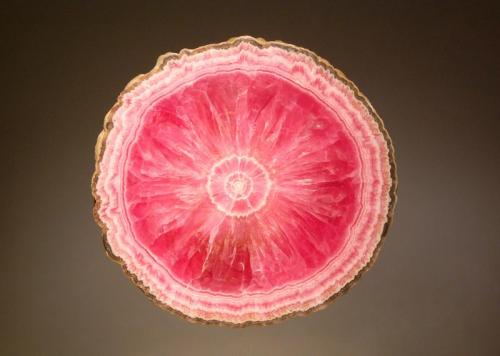 Rhodochrosite
Capillitas Mine, Andalgalá Department, Catamarca, Argentina
0.6 x 8.0 cm
Polished section through a rhodochrosite stalactite with concentric bands surrounding a bright pink center core. (Author: crosstimber)