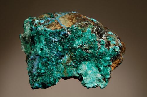 Brochantite
Vieja Mine, Potrerillos, Diego de Almagro, Chañaral Province, Atacama Region, Chile
5.7 x 7.0 cm.
Dark green acicular brochantite and pale blue cyanotrichite covering the top surface of brown gossan matrix. (Author: crosstimber)