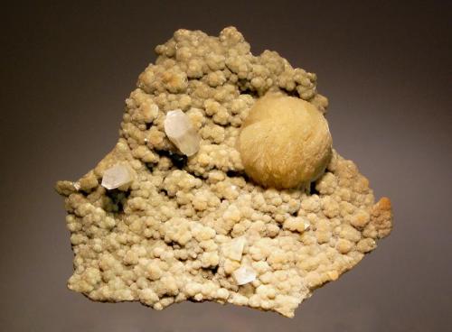 Gyrolite
Malad, Ward 38, Mumbai District, Maharashtra, India
7.6 x 8.3 cm.
An olive-green hemisphere of gyrolite on a thin matrix of smaller gyrolite spheres associated with blocky colorless fluorapophyllite crystals. (Author: crosstimber)