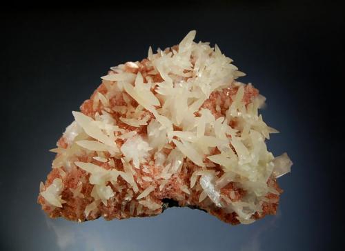 Calcite
Mirzapur, Gangapur District, Maharashtra, India
8.1 x 10.9 cm.
Sharp calcite scalenohedrons to 2.5 cm with bladed, white stilbite crystals on drusy pink heulandite. Collected in 2006. (Author: crosstimber)