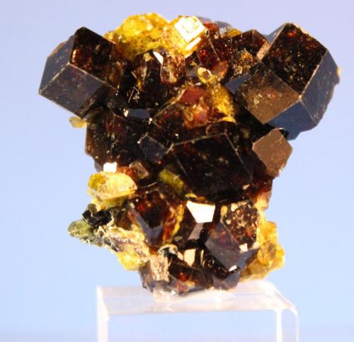 Andradite, Epidote
Marki Khel, Spin Ghar Range, Khogyani District, Nangahar Province, Afghanistan
3.5 x 3.1 cm (Author: Don Lum)