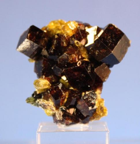 Andradite, Epidote
Marki Khel, Spin Ghar Range, Khogyani District, Nangahar Province, Afghanistan
3.5 x 3.1 cm (Author: Don Lum)