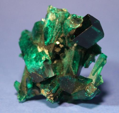 Dioptase
Christoff Mine, Kaokoveld, Namibia
5.1 x 4.7 cm (Author: Don Lum)