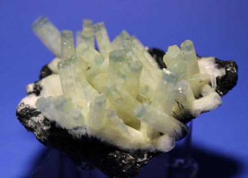 Beryl (var Aquamarine), Schorl
Hohenstein, Erongo Region, Namibia
7.5 x 5.7 cm
Bi-colored Beryl on Schorl (Author: Don Lum)