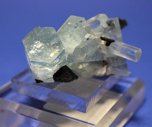 Beryl (var Aquamarine), Schorl
Erongo Mountains, Erongo Region, Namibia
5.2 x 5.0 cm (Author: Don Lum)