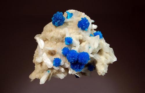 Cavansite
Dhoot Quarry, Wagholi, Pune District, Maharashtra, India
6.5 x 8.8 cm.
Spherical aggregates of cavansite to 1.0 cm in diameter scattered over a drusy stilbite matrix interspersed with white bladed stilbite crystals to 1.5 cm. (Author: crosstimber)