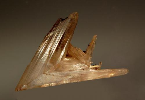 Cerussite
Touissit, Oujda-Angad Province, Oriental Region, Morocco
3.6 x 5.0 cm.
Glassy colorless to slightly smoky arrowhead twinned cerussite crystal. I have shown this one previously, but I think this is a better photo and it fits in nicely with the location. (Author: crosstimber)