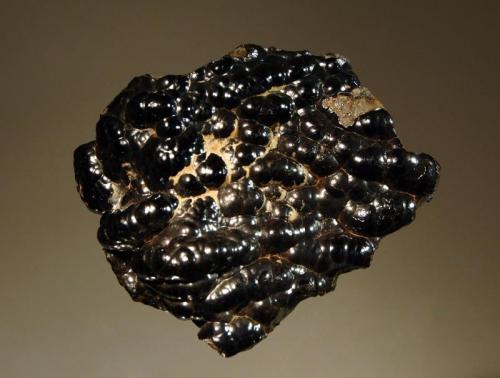 Goethite
Irhoud Mine, Safi Province, Doukkala-Abda Region, Morocco
6.0 x 6.3 cm.
Lustrous black botryoidal goethite. (Author: crosstimber)