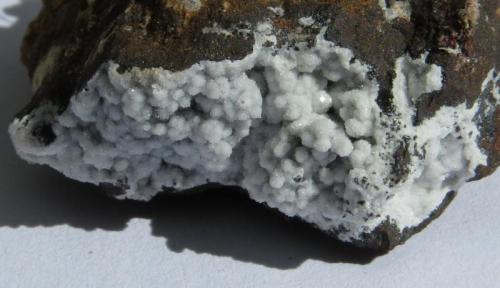 Drusa de cuarzo en costra ferruginosa
Morro das Balas, Formiga, Minas Gerais- Brasil
Muestra con 2,5 cm (Autor: Anisio Claudio)