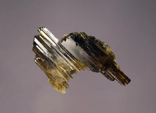 Epidote
Hurchus, Shigar Valley, Skardu District, Gilgit-Baltistan, Pakistan
2.9 x 4.3 cm.
Glassy olive-green epidote crystals in parallel growth. (Author: crosstimber)