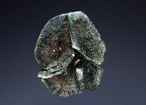 Hematite
Hachupa, Shigar Valley, Skardu District, Baltistan, Gilgit-Baltistan, Pakistan
2.3 x 2.9 cm.
Hematite rose partially coated with chlorite. (Author: crosstimber)