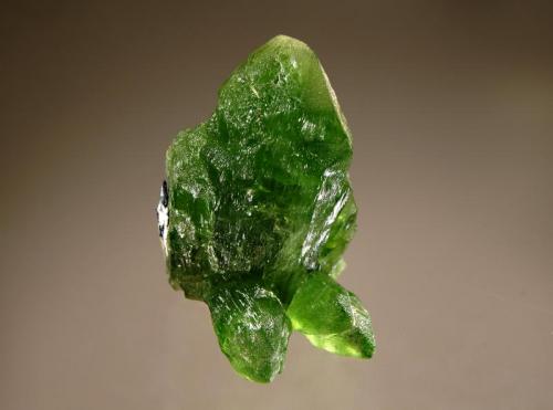 Forsterite
Sapat Gali, Naran-Kaghan, Khyber Pakhtunkhwa, Pakistan
3.5 x 4.6 cm.
A group of partly gemmy green peridot crystals. (Author: crosstimber)