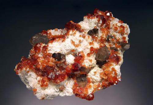 Spessartine
Wushan Mine, Tongbei, Yunxiao Co., Fujian Prov., China
7.0 x 10.0 cm
Sharp, reddish-orange spessartine crystals scattered over a matrix of orthoclase with several smoky quartz crystals. (Author: crosstimber)
