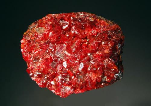 Realgar
Jiepaiyu Mine, Shimen, Changde Pref,, Hunan Prov., China
6.5 x 7.8 cm
Bright red realgar crystals covering the top surface of massive realgar. Obtained from Peter Wu at the 1990 Denver Show. (Author: crosstimber)