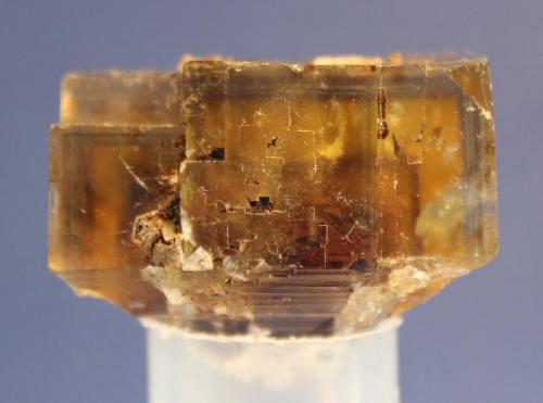 Fluorite
El Hammam Mine, Morocco
4.8 x 4 cm (Author: Don Lum)